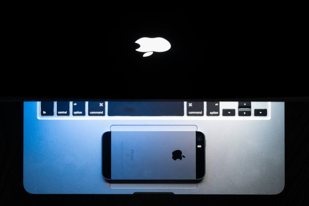 steve-zheng-3kRrX8zxDWA-unsplash