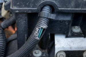 car electrical wiring harness damaged by chewing rodent