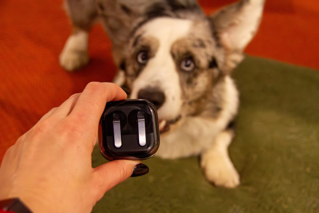 Samsung Galaxy Buds4 Pro austiņu tests
