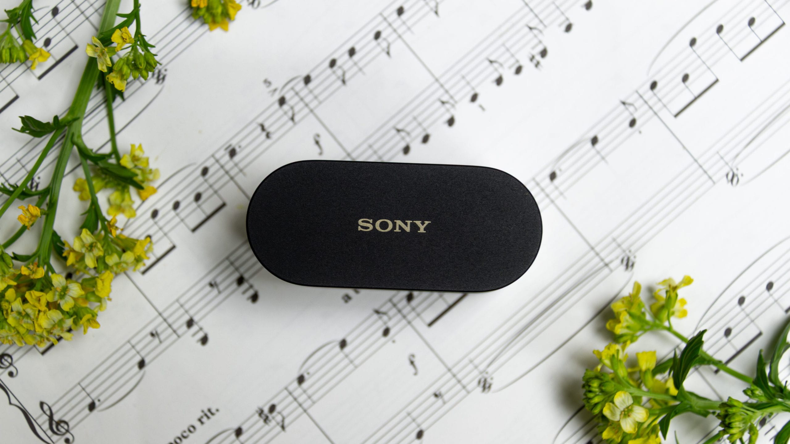 Sony WF-1000XM6 futrālis
